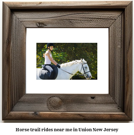 horse trail rides near me in Union, New Jersey